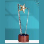 Star Trophy with wooden base